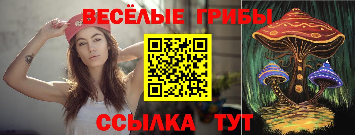 Псилоцибиновые грибы Cubensis  Вход с VPN  Новотроицк 